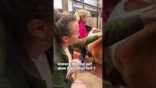 #bauerhof #familienhof #harms #kurzmalweg