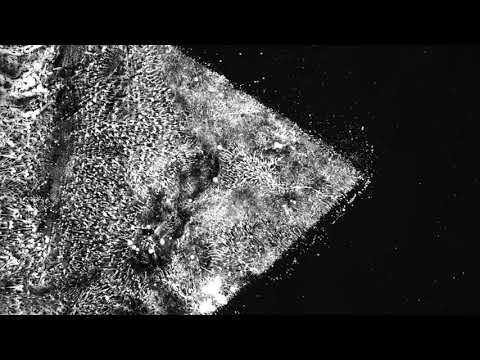 Shosho, Mada - Popol (Sakdat & Balaur Remix)