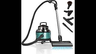 Filter Queen Majestic Surface Cleaner Review