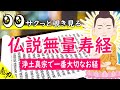 ＜覗き見る＞仏説無量寿経  浄土真宗のお経