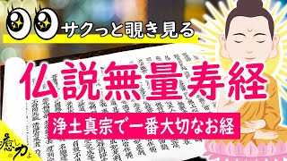＜覗き見る＞仏説無量寿経  浄土真宗のお経