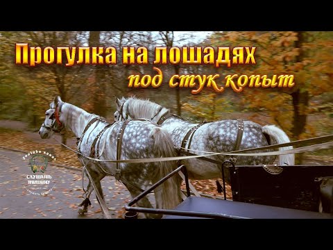 Расслабляющие звуки лошадиных копыт. Прогулка по парку
