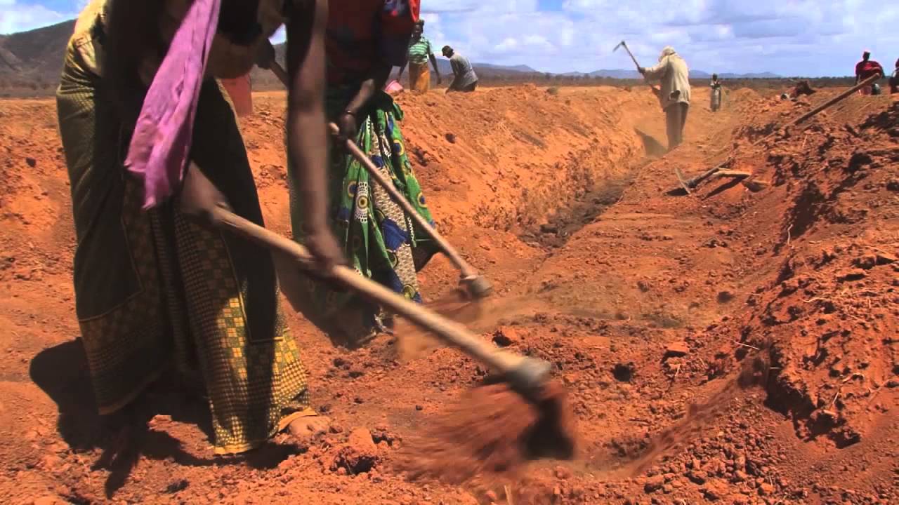 Unlocked Credit Lines Allow Poor Tanzanian Farmers To Invest In Vineyard