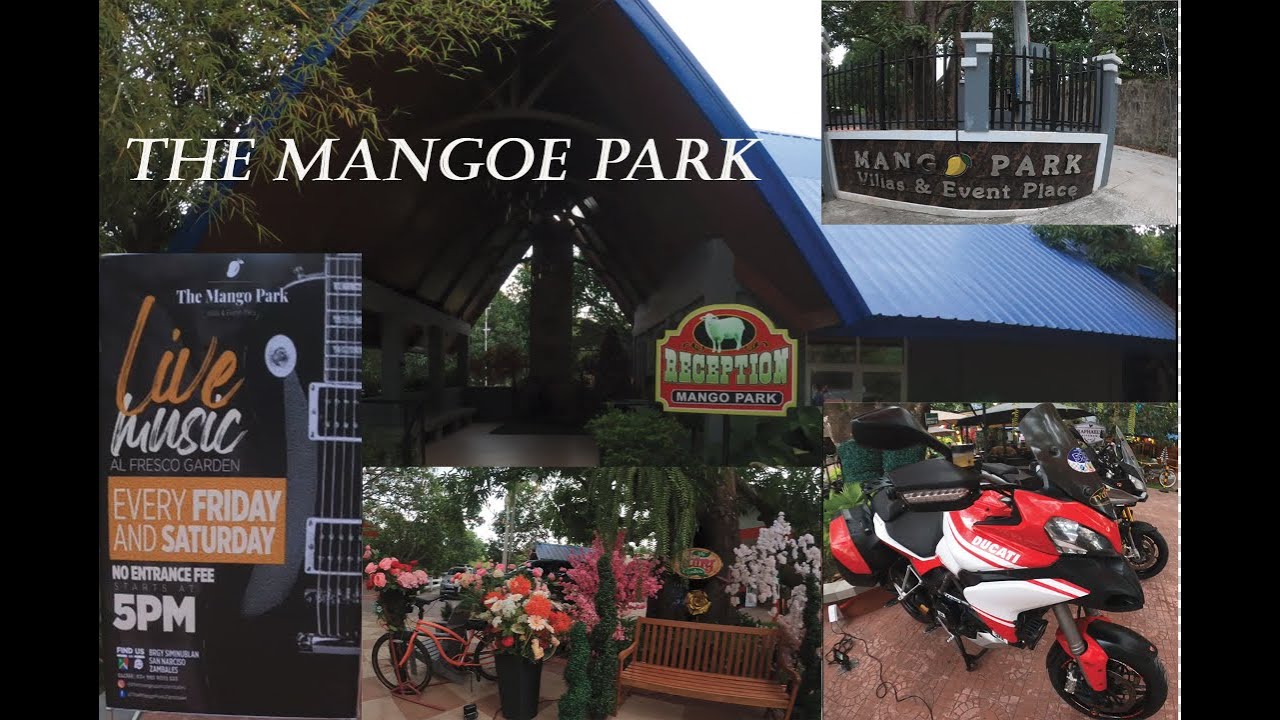 The Mango Park Zambales Experience YouTube