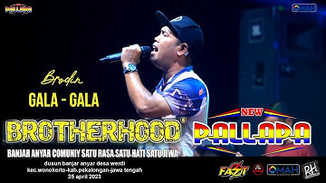 GALA GALA - BRODIN - NEW PALLAPA - LIVE BROTHERHOODS 2023