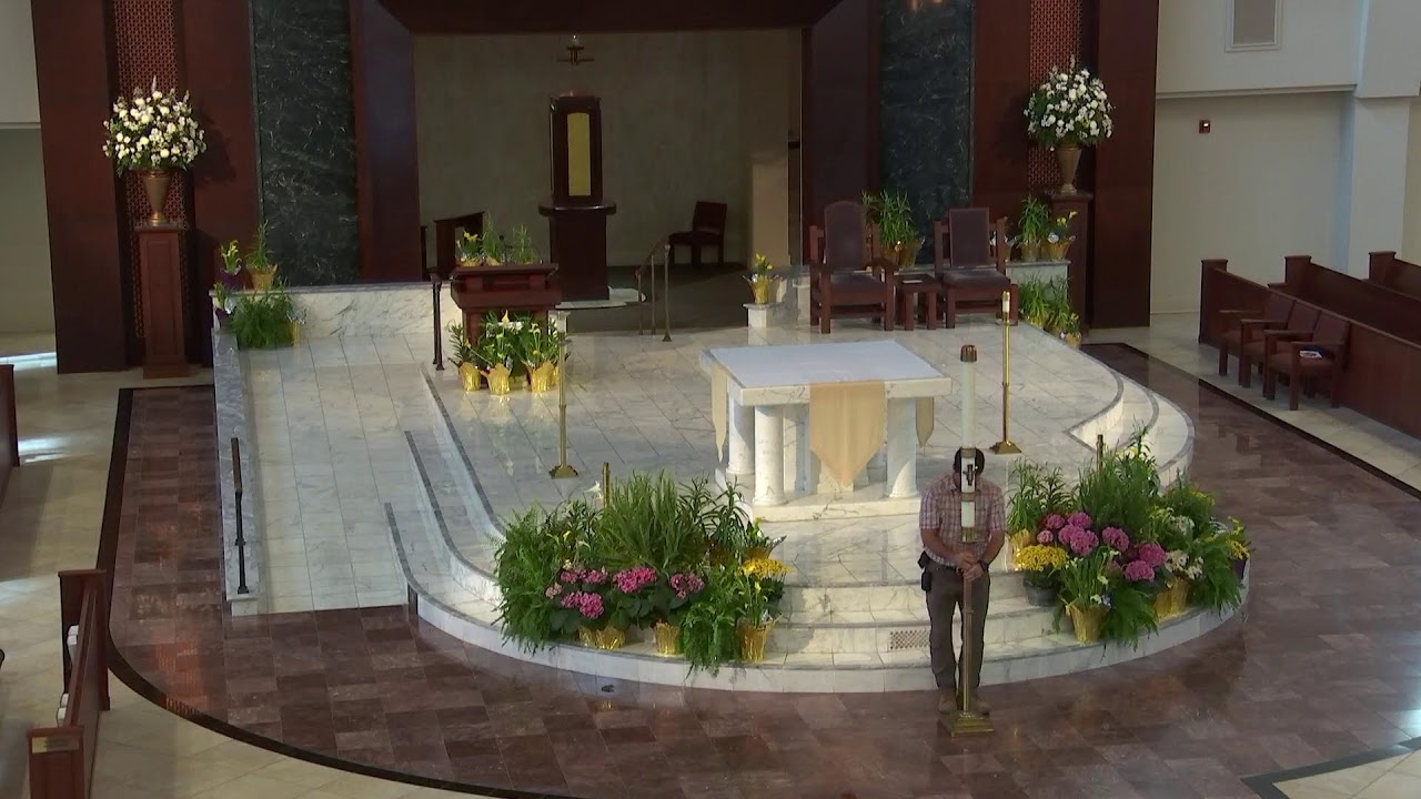 St. Henry Catholic Church Livestream YouTube