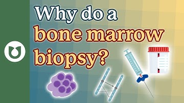 Why do a bone marrow biopsy? #bloodcancer