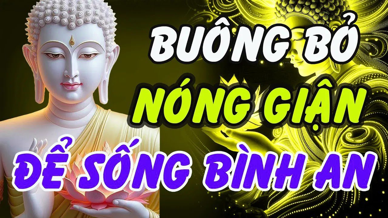 Phật Dạy   Buông Bỏ Nóng Giận – Bí Quyết Sống Bình An Giữa Đời Đầy Biến Động