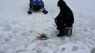 Зимняя рыбалка на Кольском полуострове
