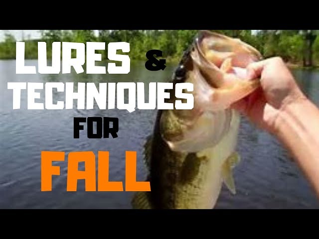 Top Lures & Techniques for Bass Fishing in the Fall of 2022 