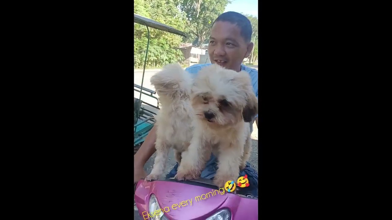 Eksena ng mga batuta every morning🥰 #dog #puppy #pets #cutebaby #cute