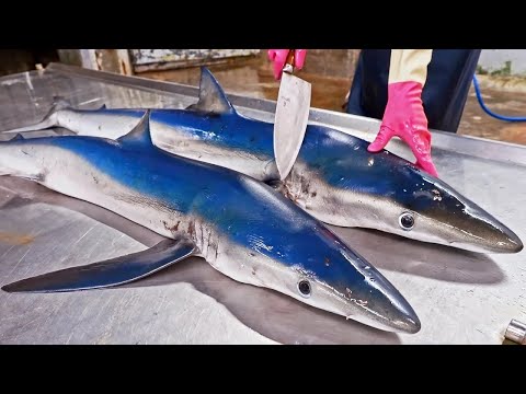 İnanılmaz Köpekbalığı Kesme Becerileri, Köpek Balığı Tarifi Hazırlama ve Pişirme