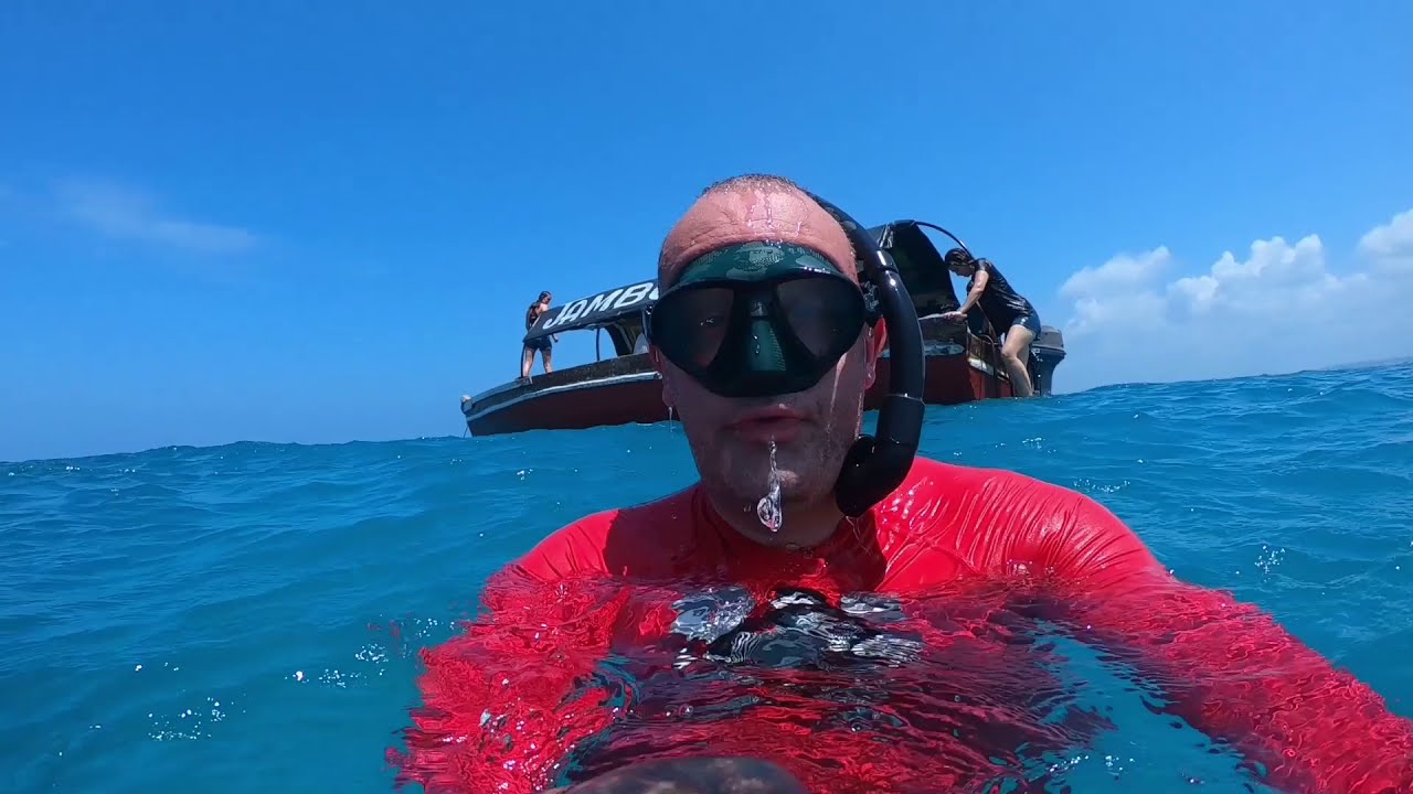 Freediving in Zanzibar 2019 / SSI freediving course with Extreme