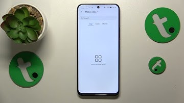 How to Check the WiFi & Mobile Data Usage on HONOR 90 Lite