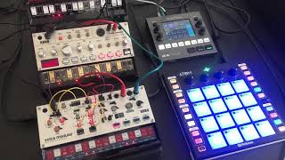 Volca Modular synth percussion sounds