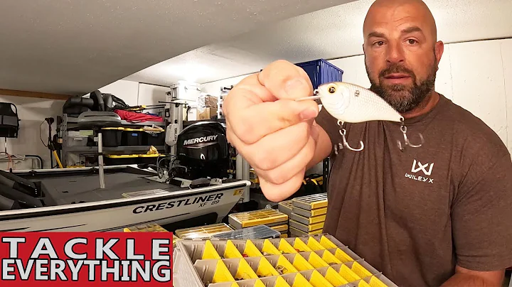 Tackle Organization - BEST Ways to Organize Tackle