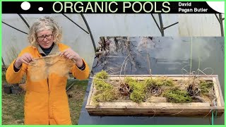 Making a Floating Plant Island for an Organic Pool