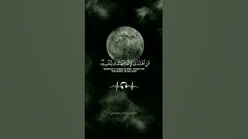 #القرانالكريم  #ياسر_الدوسري #تلاوات #قرآن #راحة_نفسية #قراءة_خاشعة #reels #quran #fyp #جمعةطيبة