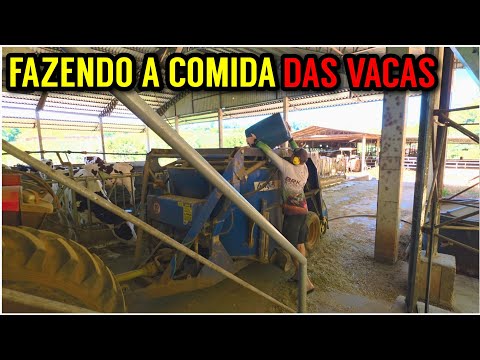 The secret of the COW DIET (machinery and analysis)