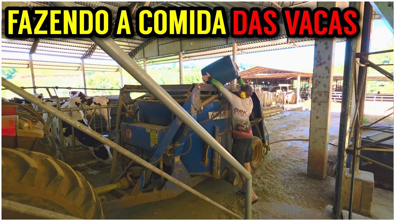 O segredo da DIETA DAS VACAS (maquinario e análises)
