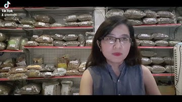 Nên ngâm chung nấm ngọc cẩu với những loại nào để tăng sinh lý?️0904.079.719