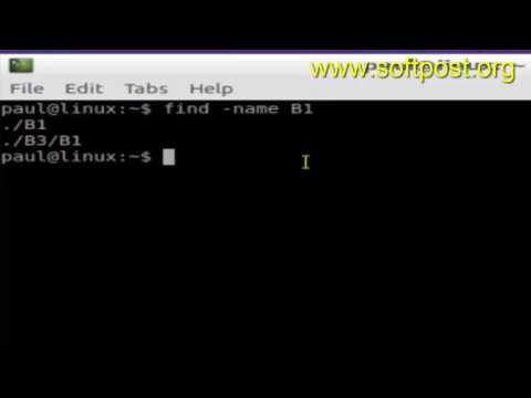 How to find only files using find command in BASH shell terminal