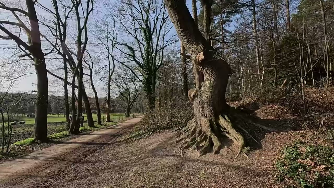 Posthorn oder so  2026 02 26