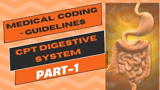 CPT-digestive system part 1