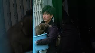 なんでそんな風に連れて行くの 可哀想すぎる… 😂😂 #パンチくん #市川市動植物園