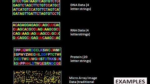 What is Bioinformatics ...?