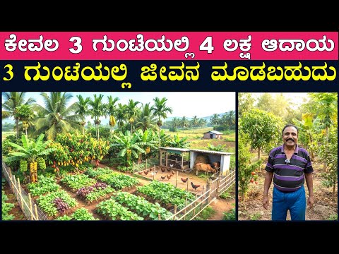 3 ಗುಂಟೆಯಲ್ಲಿ ನಾನು ಮಾಡಿ ತೋರಿಸಿದ್ದೀನಿ || ನಿವೃತ್ತ ಪ್ರಿನ್ಸಿಪಾಲ್ ರಾಮಲಿಂಗೆ ಗೌಡರ ಸಂಪೂರ್ಣ ಆರ್ಗ್ಯಾನಿಕ್ ತೋಟ