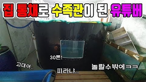 집통채로 30톤 수족관을 만들어버린 한국유튜버ㅋㅋ놀람주의!!