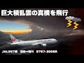 巨大積乱雲の真横をフライト　JAL557便　羽田→旭川　B767-300ER JA655J