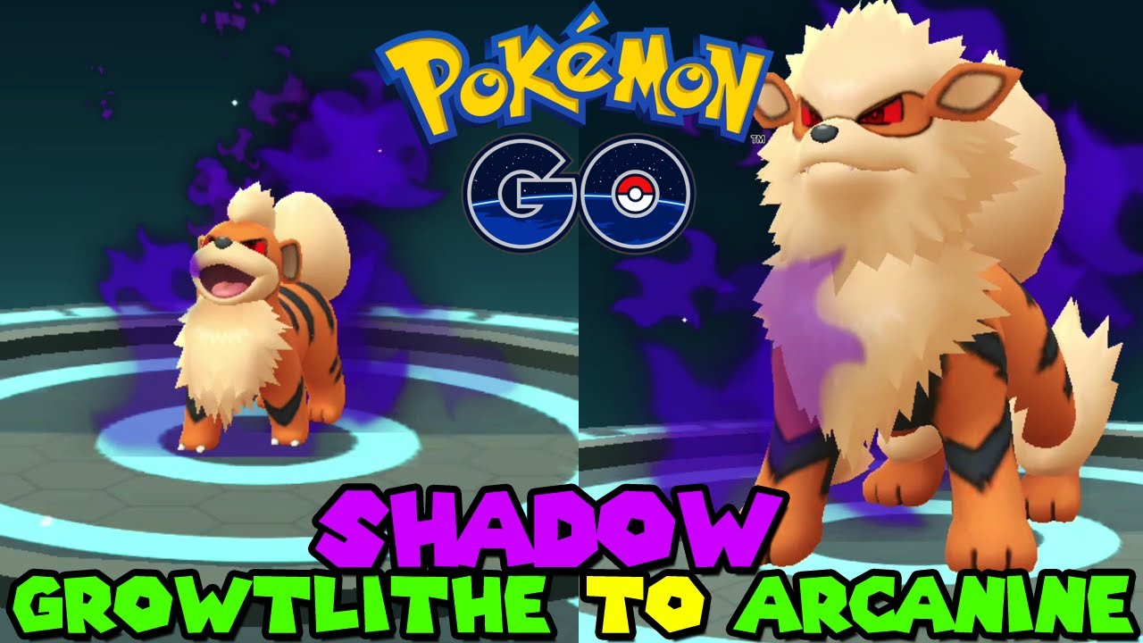Evolving Shadow Growlithe To Shadow Arcanine In Pokemon Go Youtube