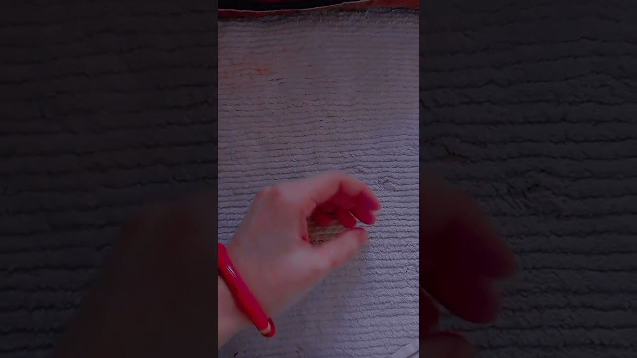 New whatsapp status 🥀😍🐼 love status 💕 