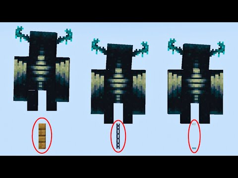 in which blocks can warden hide?