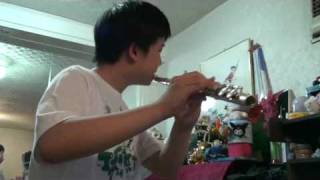 You Raise Me Up - Flute (cover)