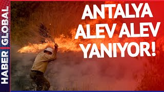 SON DAKİKA I Antalya Alev Alev Yanıyor!