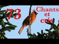 73 Oiseaux du Québec, chants et cris