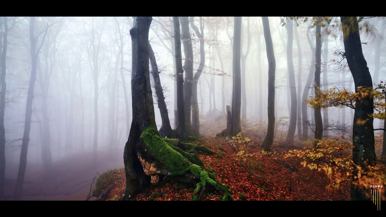 Punker - Oxygen (ft. Arild Aas)