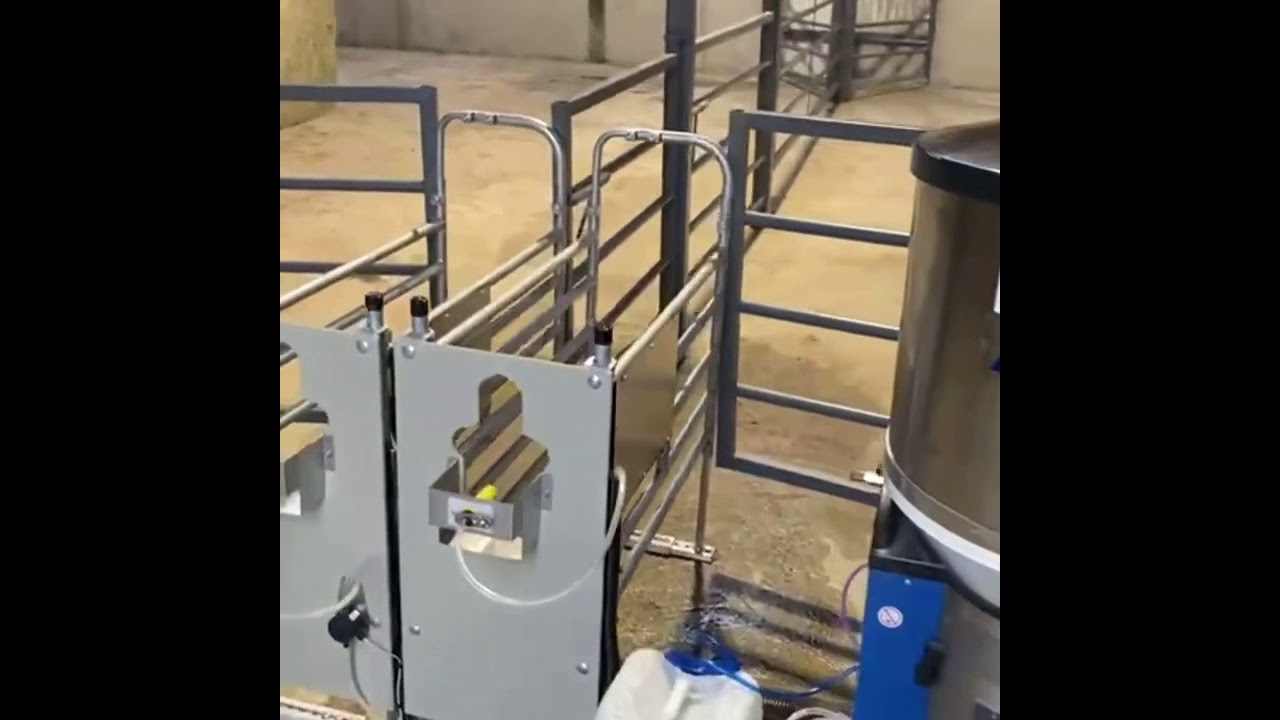 DeLaval CF1000s 2 station Calf Feeder YouTube