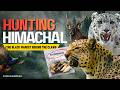 The Dark Wildlife Trade in Himachal | Leopard Claws in Local Markets