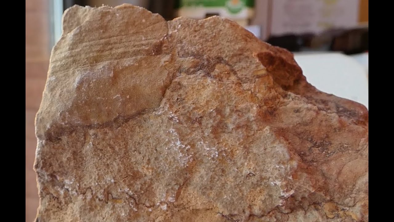 Calcare/Micrite ad Intraclasti