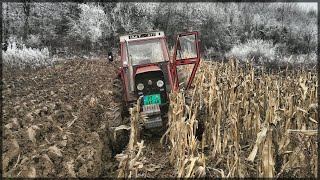 Imt 577 - Zaoravanje Kukuruzovine 2020