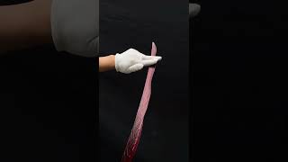Do you know this katana?#eldenring #katanalobby #katanasamurai #katanalobby