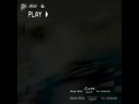 ccp-lagu-sunset-lover