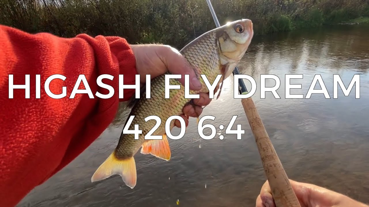 ТЕНКАРА x HIGASHI FLY DREAM 420 6:4 x ЯЗИ В МИКРОРЕЧКЕ 