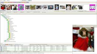 Module 4 FTK Movie   Customizing FTK Interface View