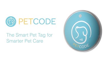 Keep Your Pet Safer With the Smart PetCode QR Tag