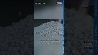 Ellensburg Man Pleads Guilty to Selling Fentanyl
